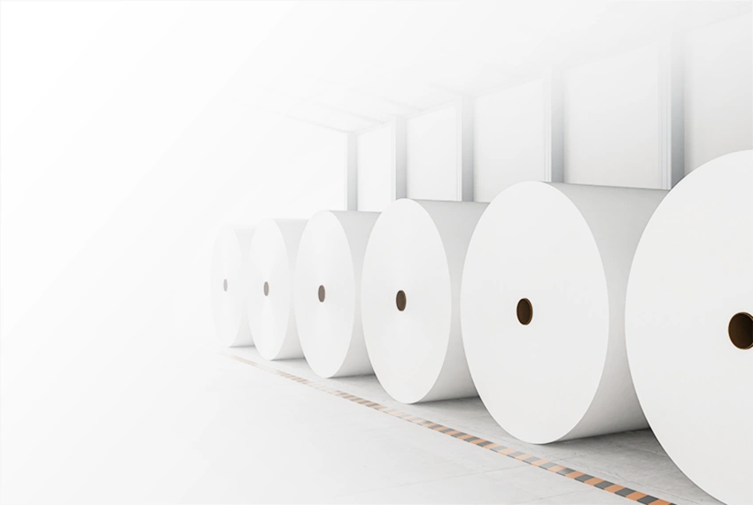 Jumbo roll/Mother reel/Parent roll