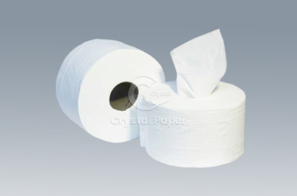 Jumbo toilet paper roll