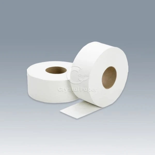GLOBAL AVERAGE PER CAPITA TISSUE CONSUMPTION STANDS AT ABOVE 5KG - BUT 1OKG IS POSSIBLE