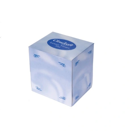 3.The Convenience and Hygiene of Boxed Facial Tissues for Everyday Use