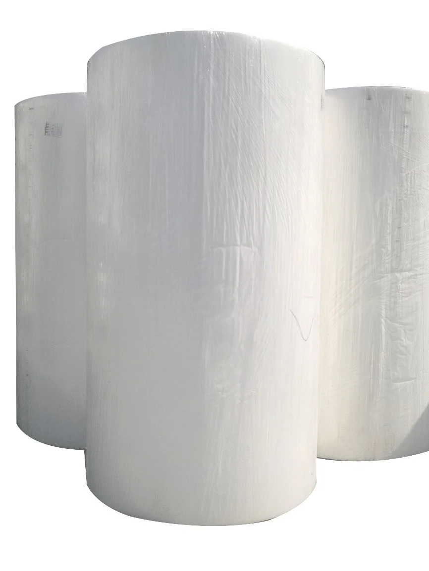 Enhancing Sustainability with Toilet Tissue Big Jumbo Roll Options