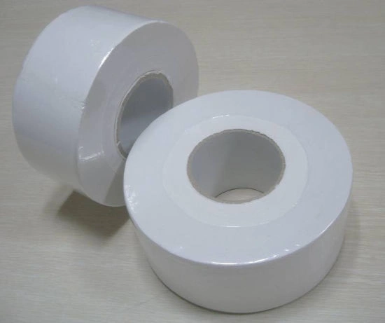 The Environmental Benefits of Switching to Jumbo Toilet Paper Rolls The Environmental Benefits of Switching to Jumbo Toilet Paper Rolls