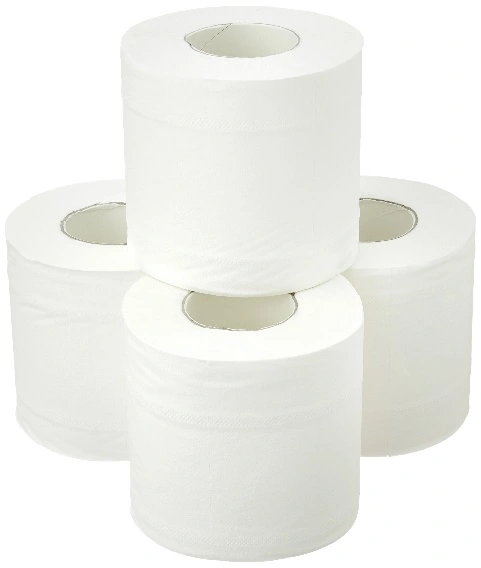 2-Ply 500 Sheets Toilet Paper: The Ideal Balance of Comfort and Value 2-Ply 500 Sheets Toilet Paper: The Ideal Balance of Comfort and Value